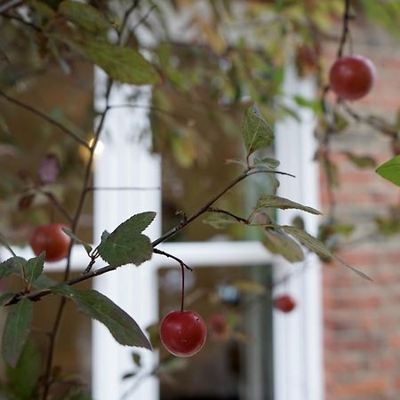 Beautiful London Home Sleeps 6, 2 Minutes To Metro Exteriör bild